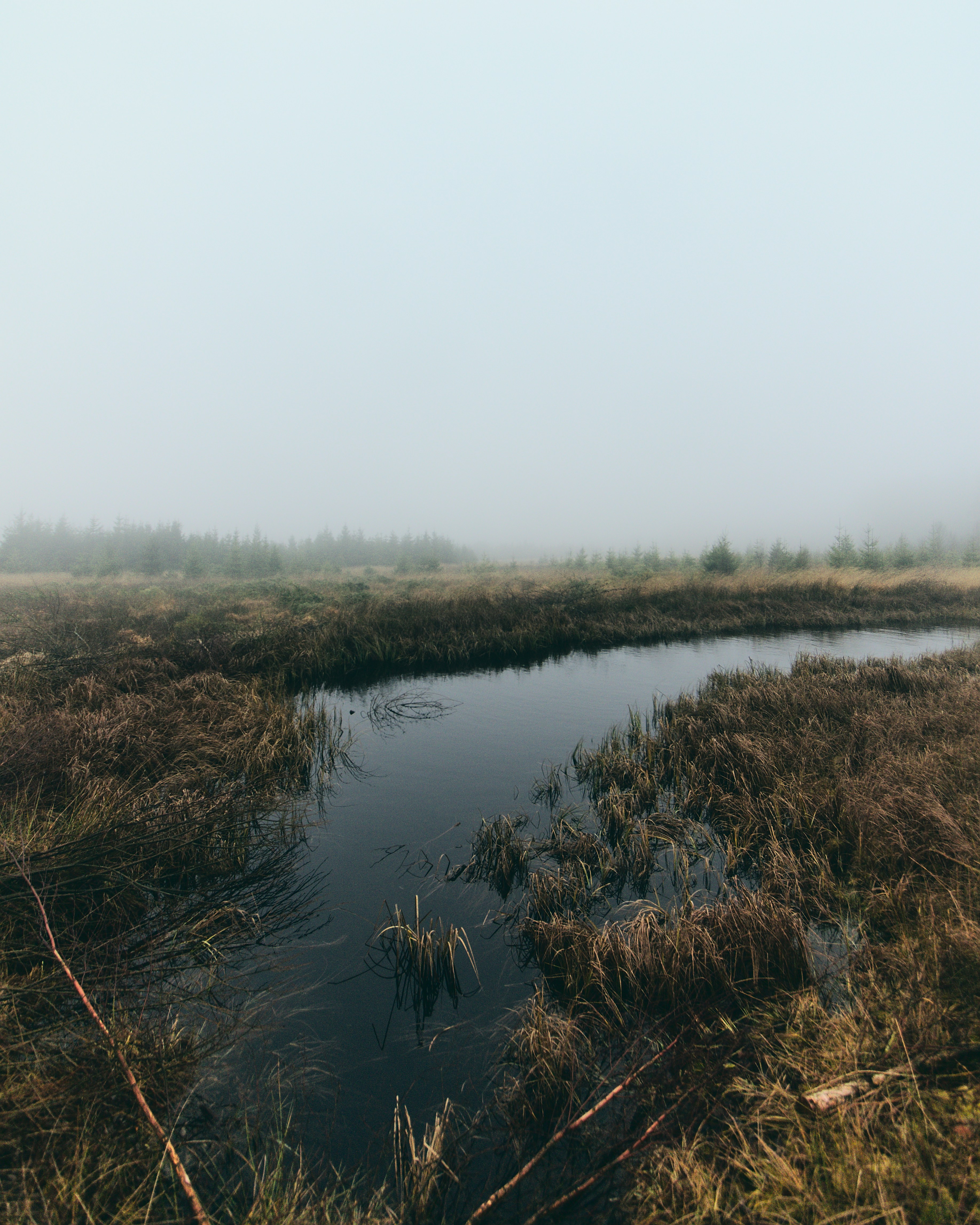 Photo by nicolasdc20