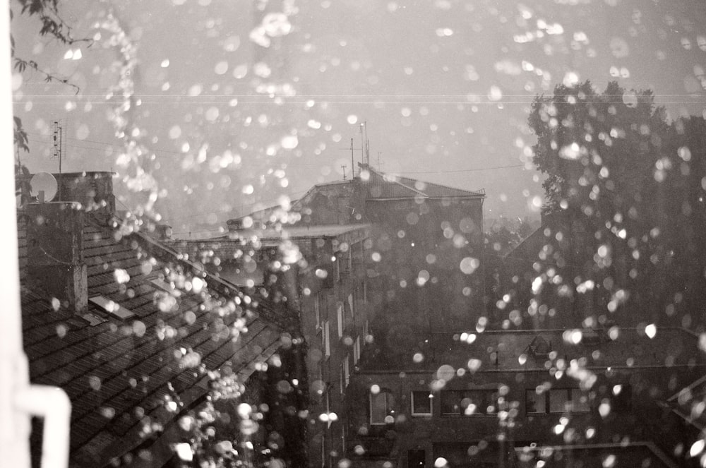 grayscale photo of rain drops on glass