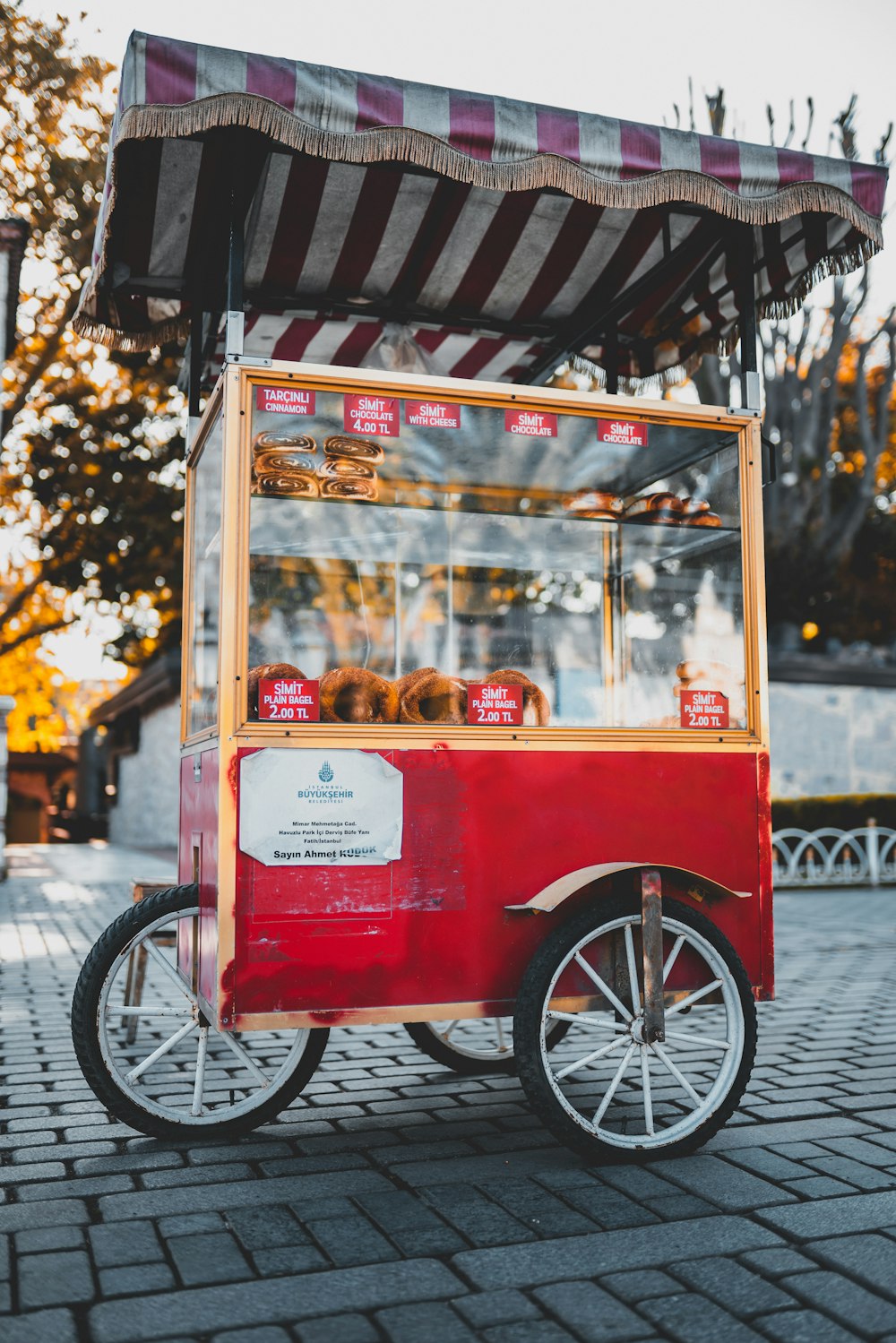 red and white food cart on gray pavement
