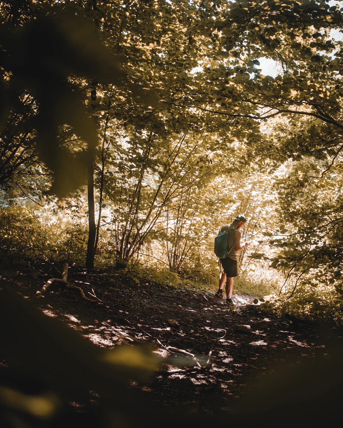 Person geht bewusst durch einen Wald als Beispiel für achtsame Bewegung beim Rauchstopp