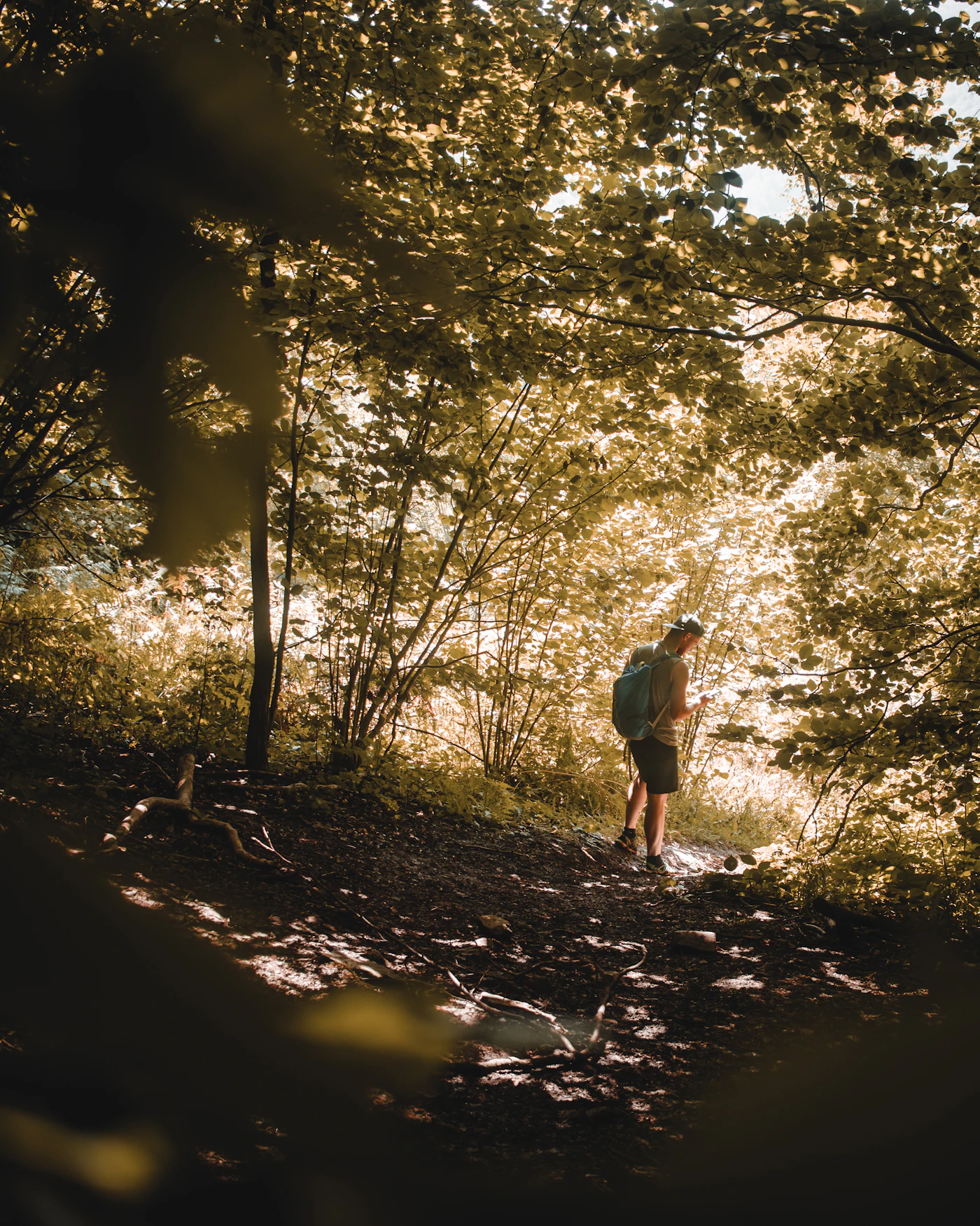 Person auf einem Waldweg im Morgenlicht als Symbol für neue rauchfreie Routinen
