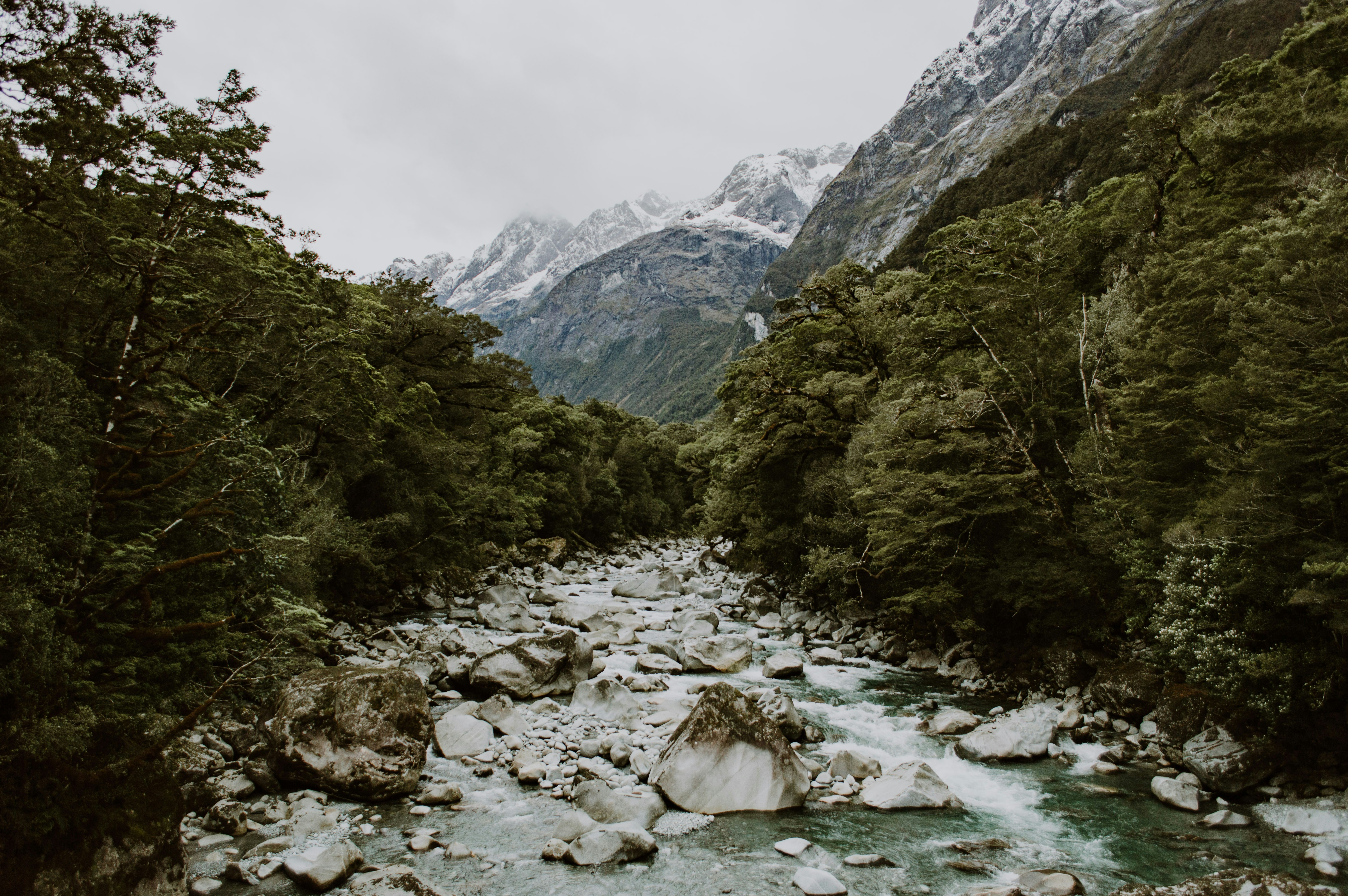 Photo by katiemcboom