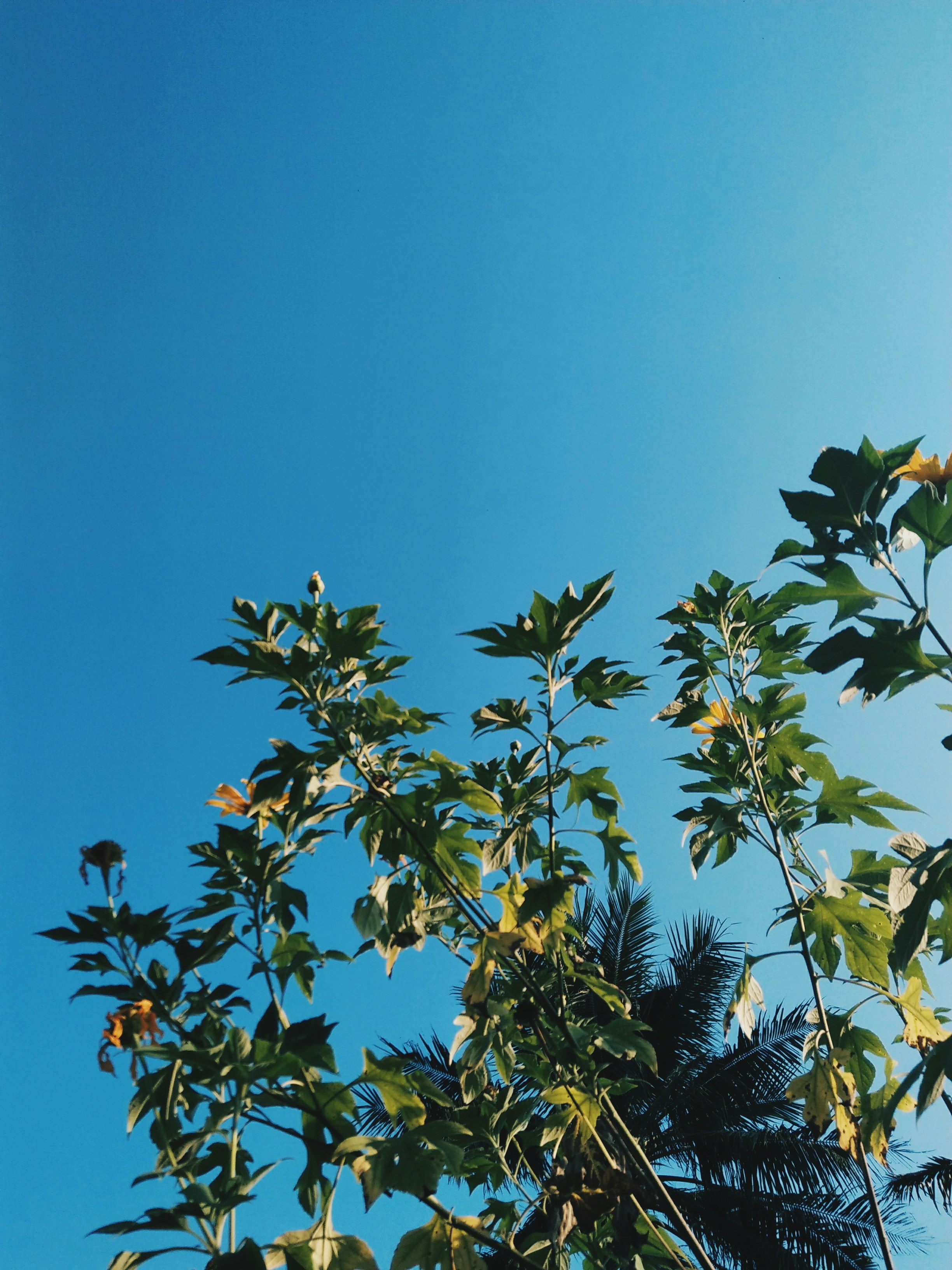 Photo by actach_byme