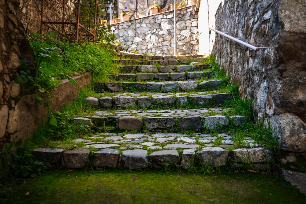 Escaliers en béton gris avec de l’herbe verte