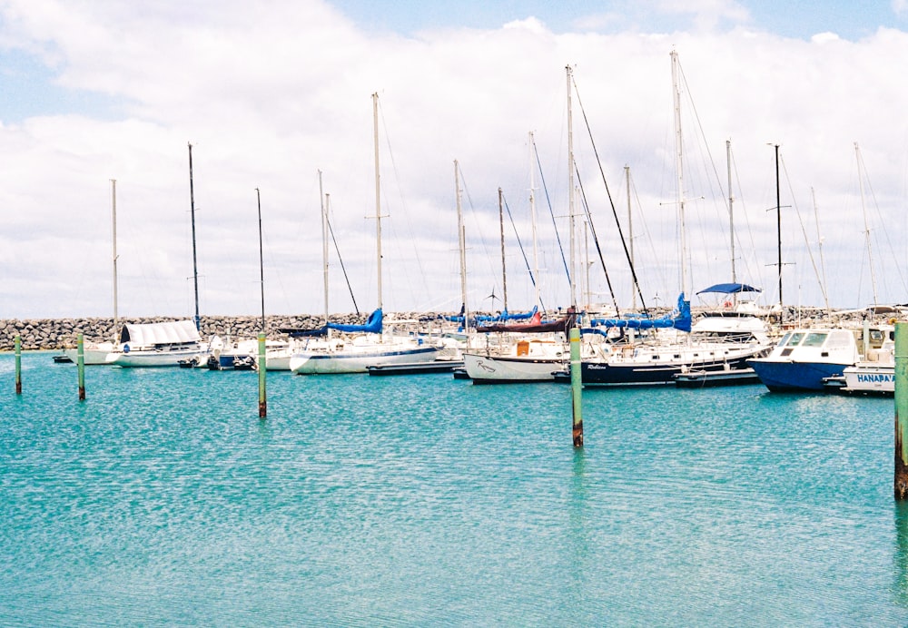 Bateaux blancs et bleus sur la mer pendant la journée