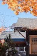 brown and white wooden house under blue sky during daytime