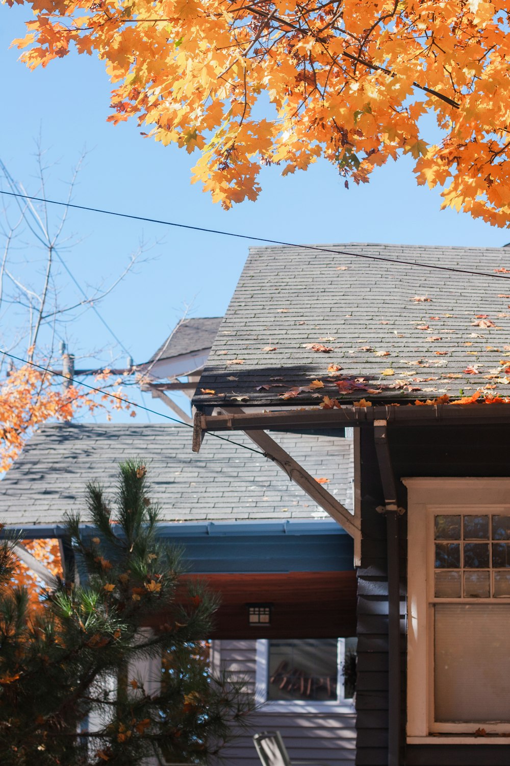 brown and white wooden house under blue sky during daytime