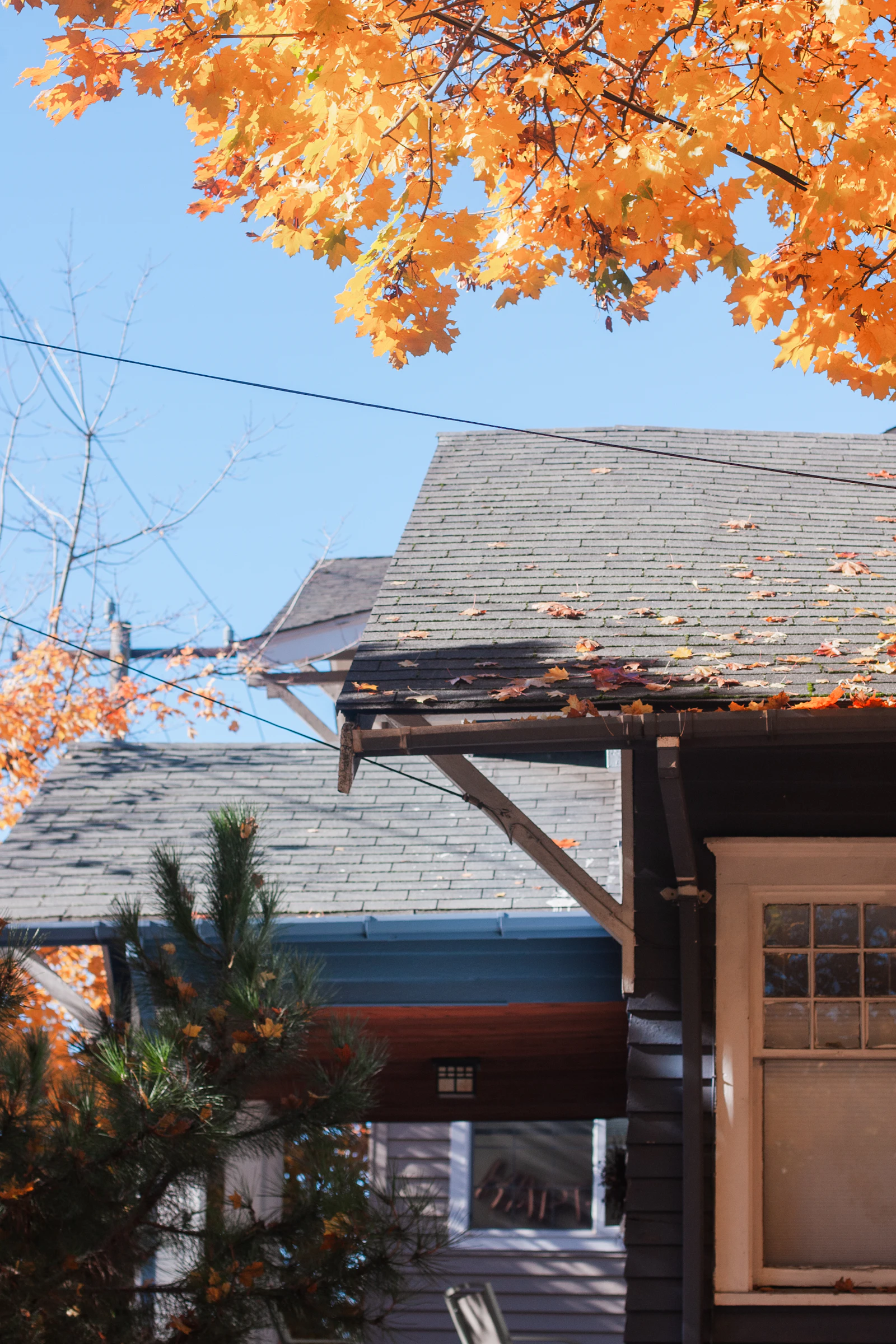 Hail-damaged roof before repair