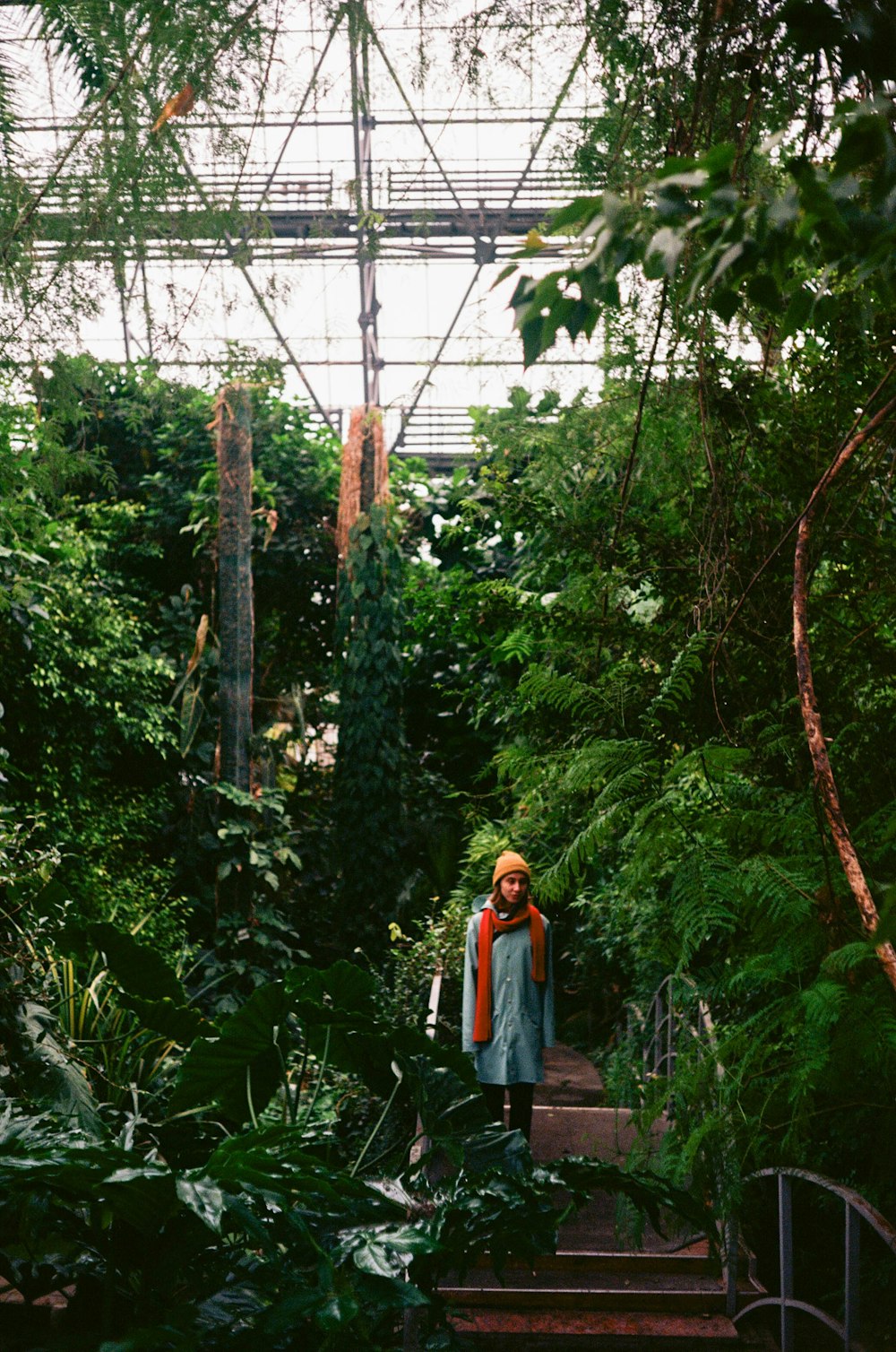 woman in orange jacket standing on forest during daytime