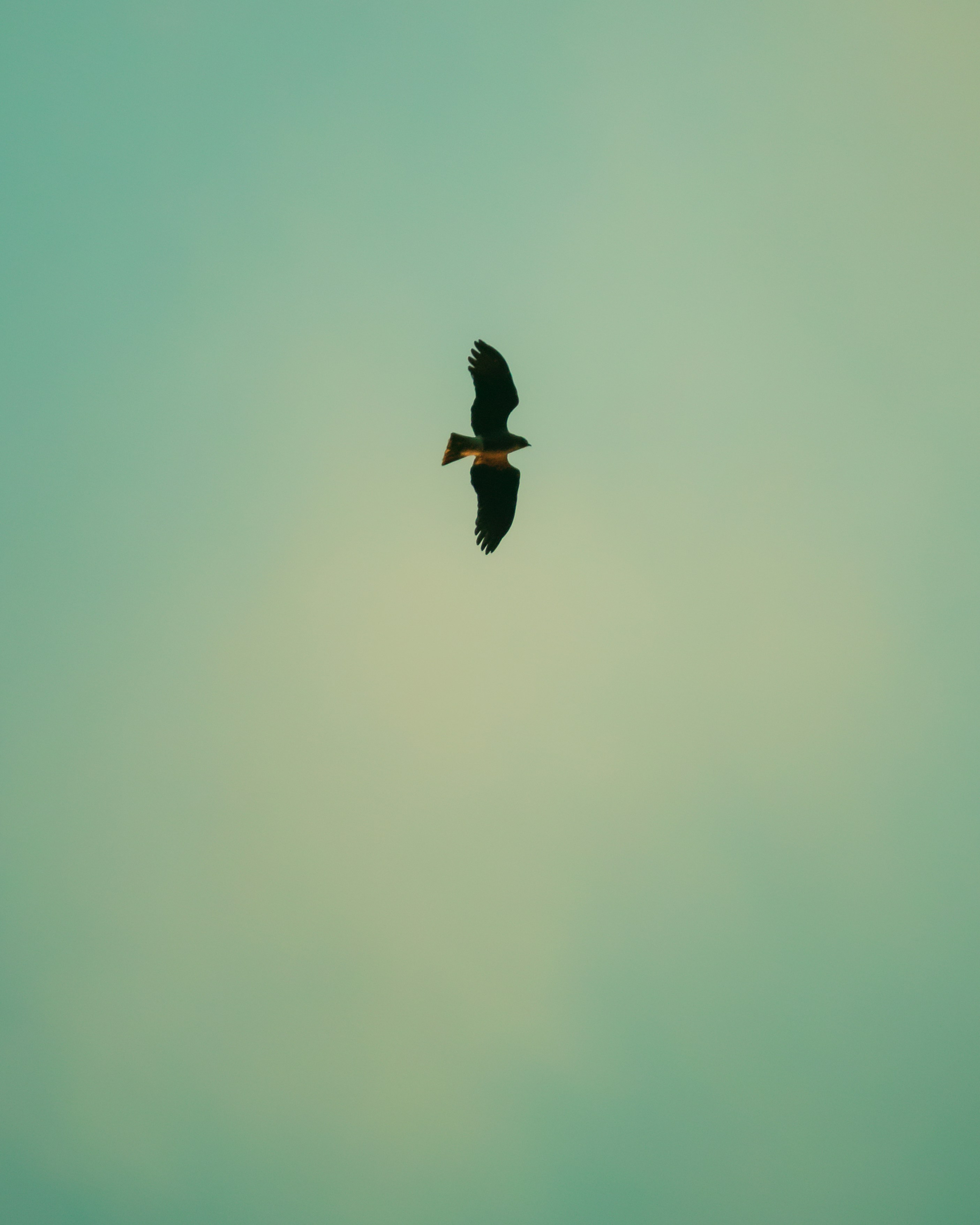 Photo by nature_of_the_experiment