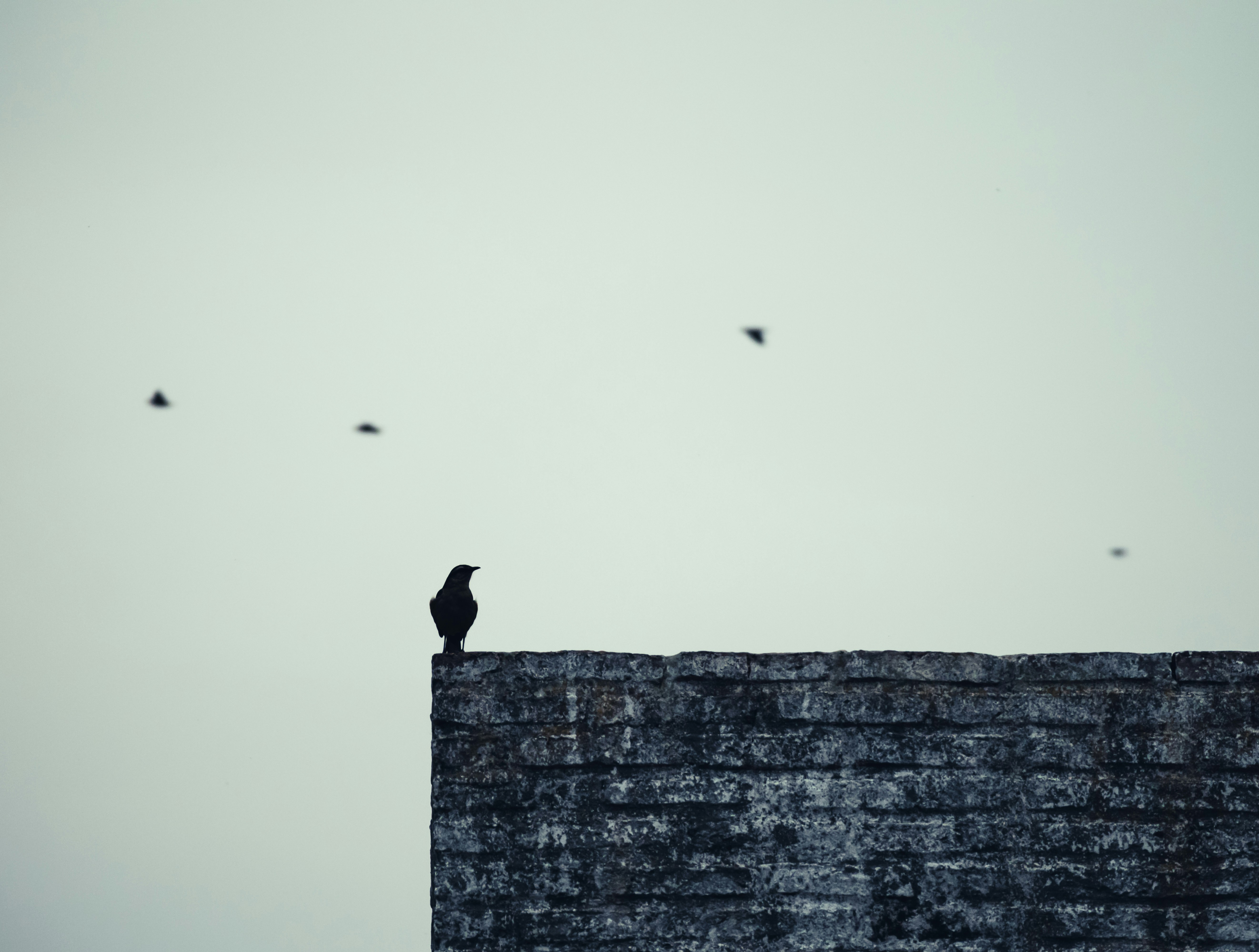 Photo by nature_of_the_experiment