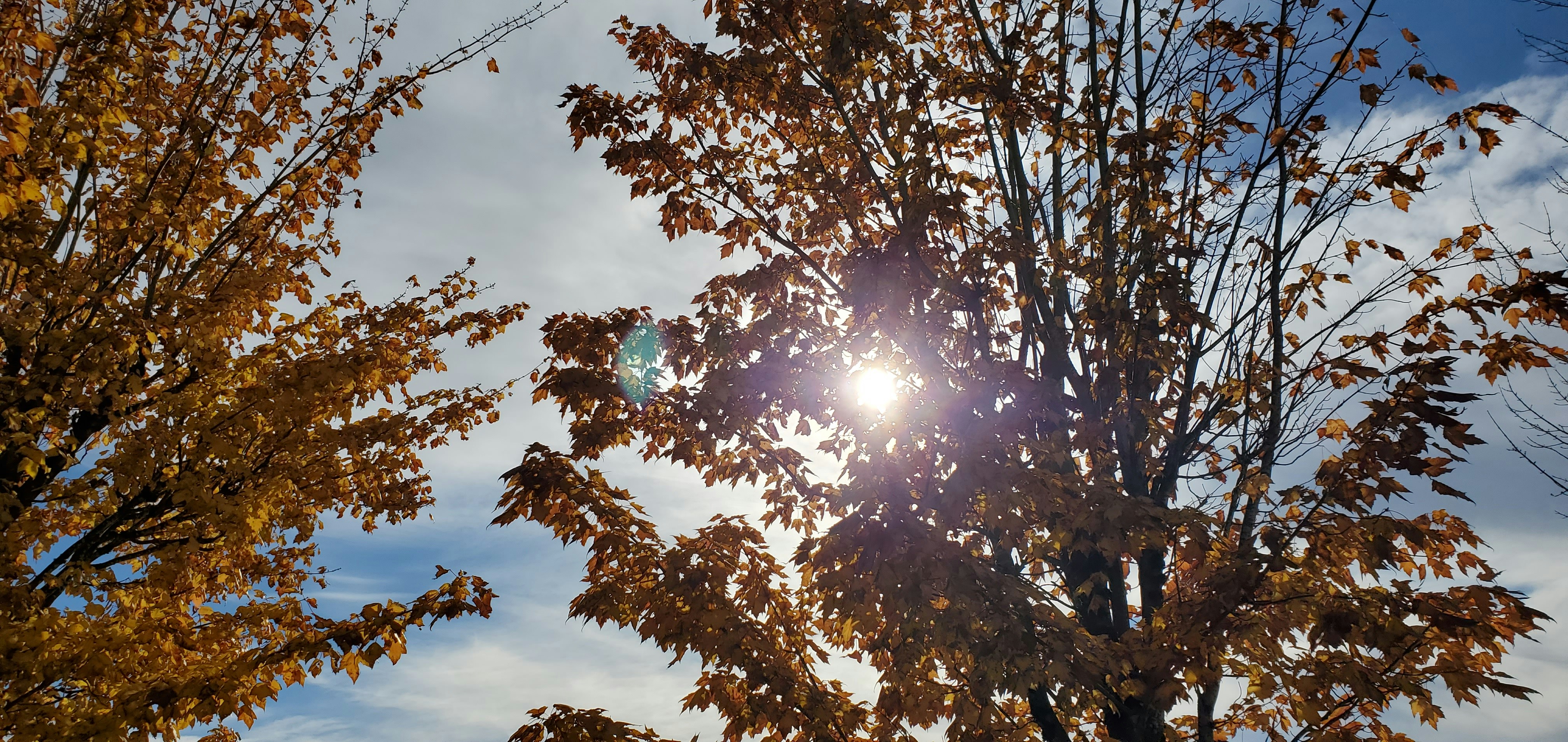 Photo by k_photography32