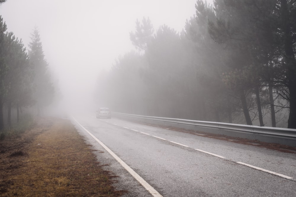 gray asphalt road between trees covered with fog