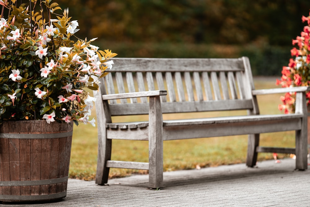 white and yellow flowers on brown wooden bench