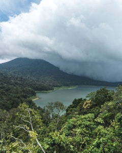 Alta Vista Frutillar