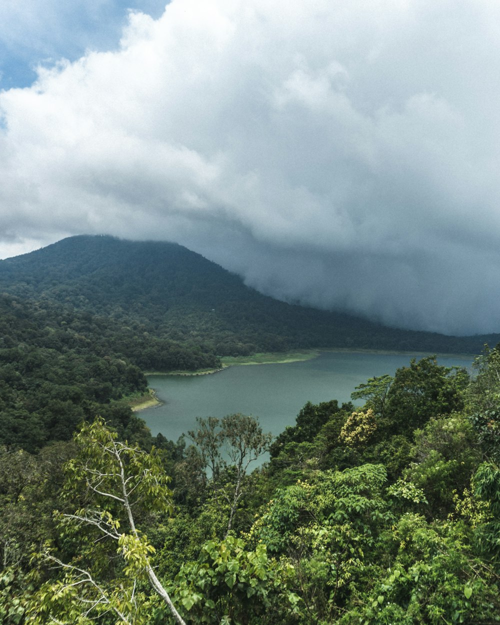 green trees near body of water under white clouds during daytime