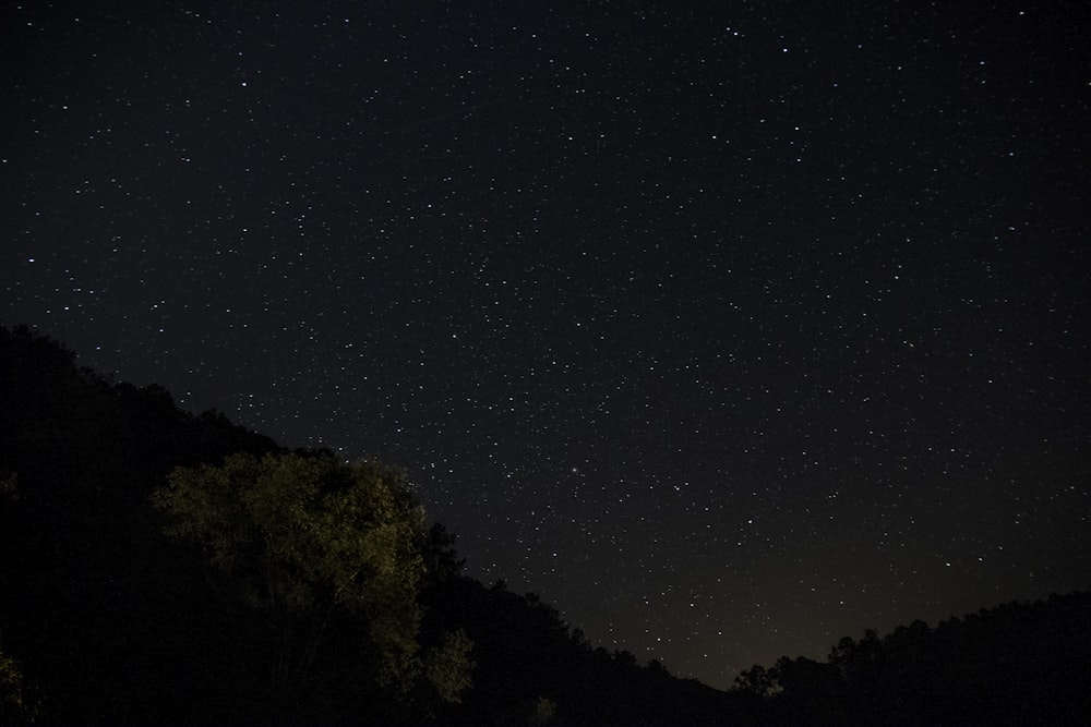 the night sky is filled with stars and trees