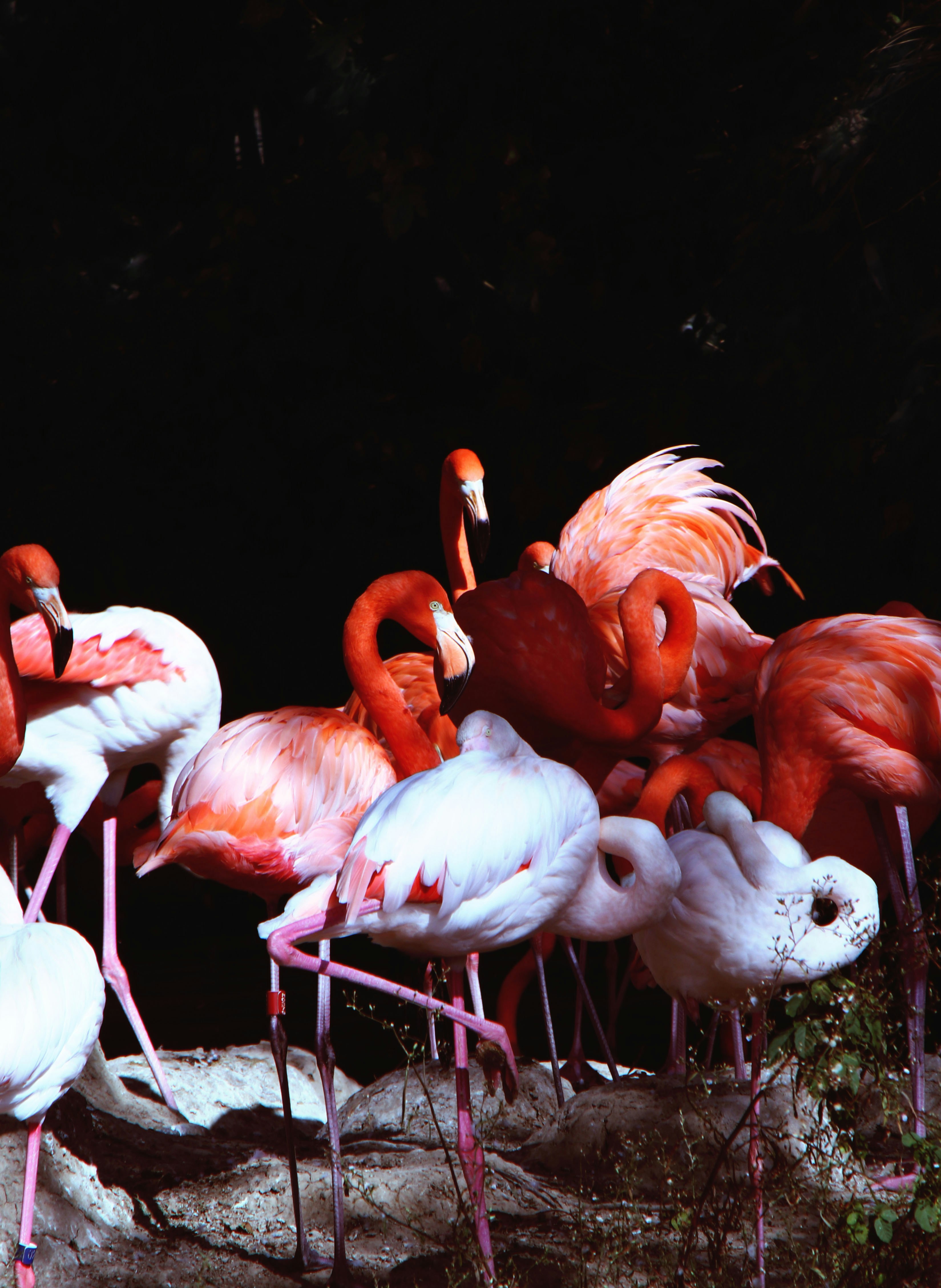 Photo by andreusphoto