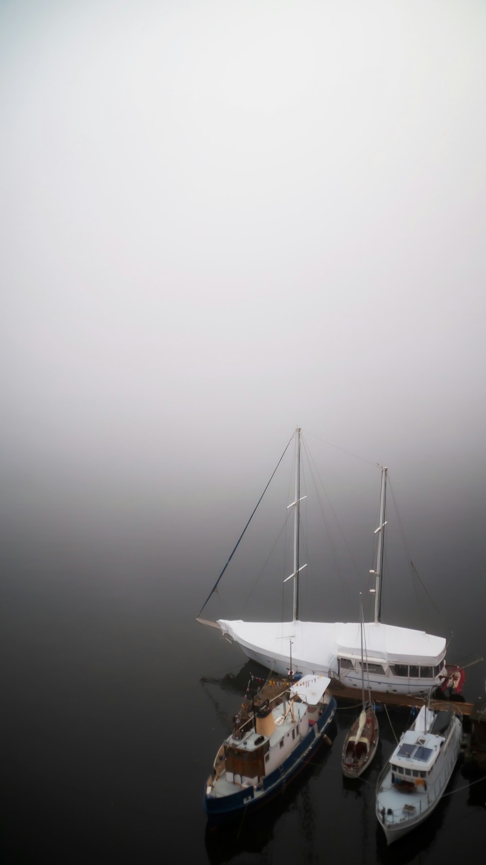 white sail boat on body of water