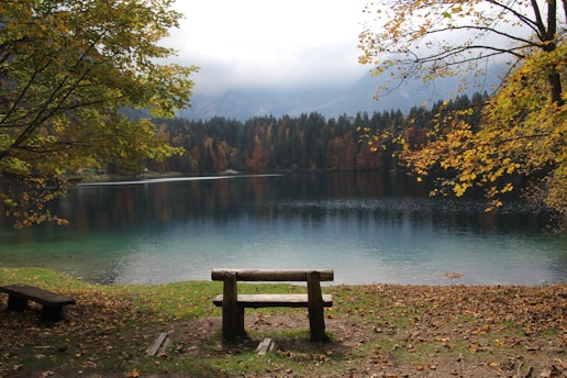 brown wooden bench near lake during daytime
