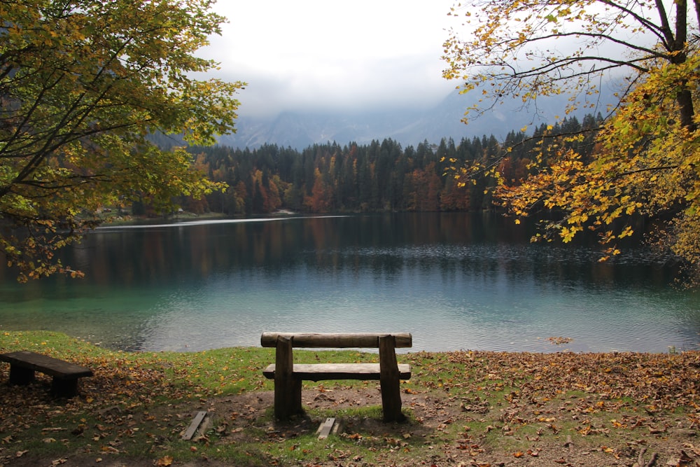 昼間の湖畔の茶色い木製ベンチ