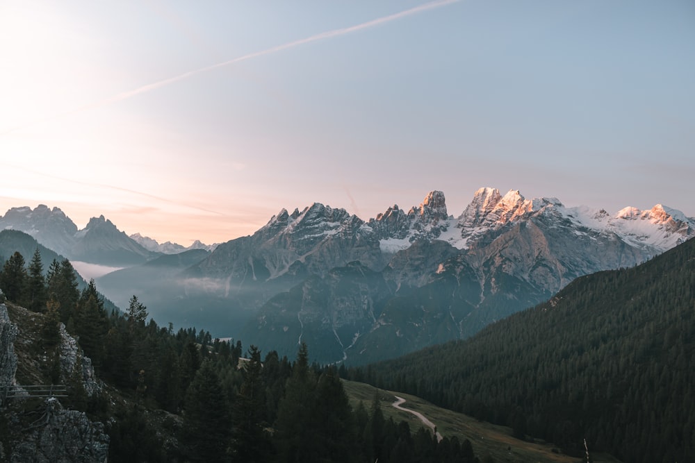 Des arbres verts et des montagnes enneigées pendant la journée