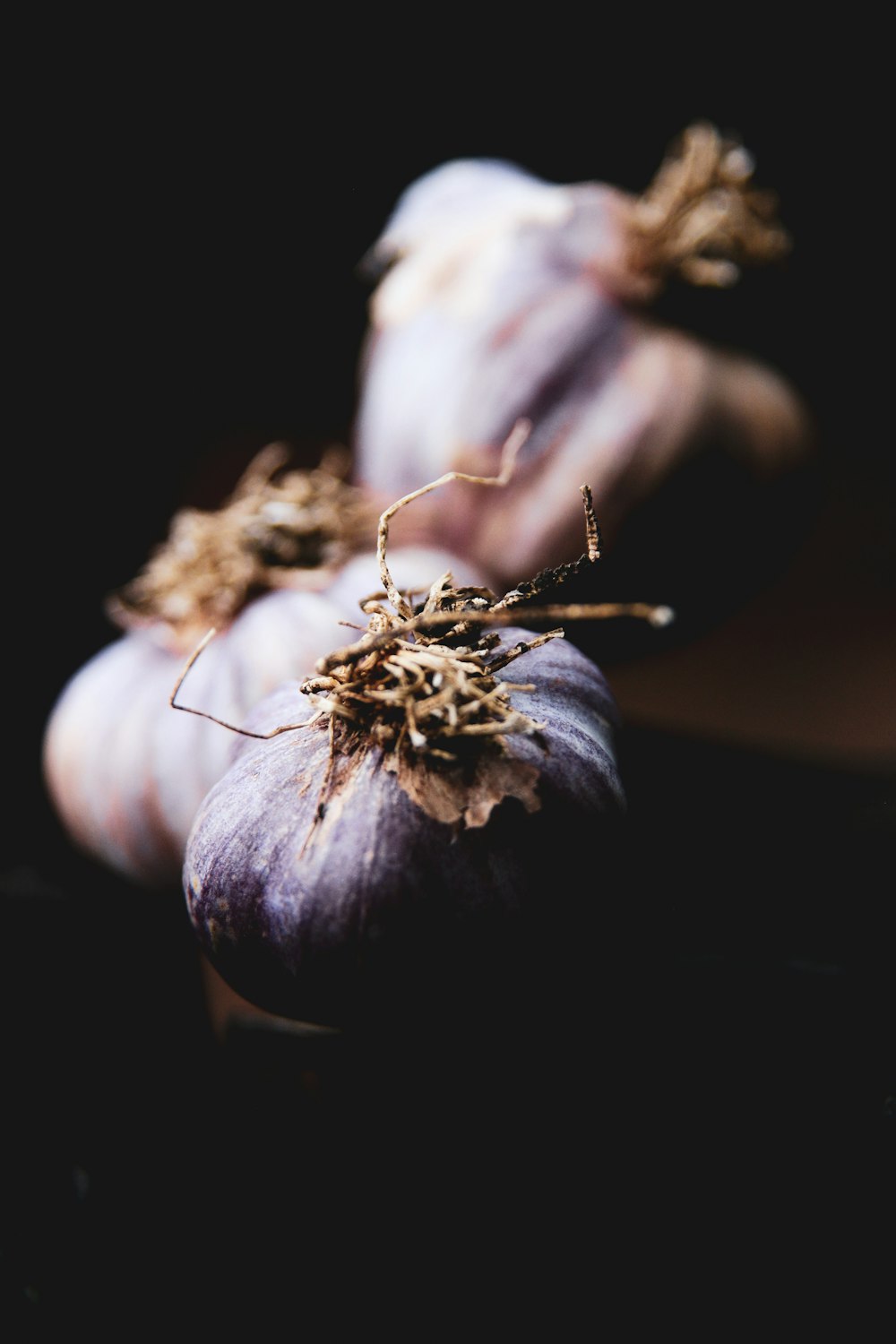 white garlic on black background