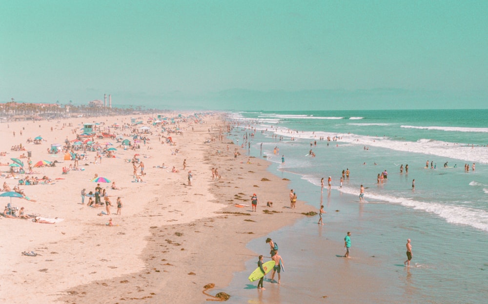 personnes sur la plage pendant la journée