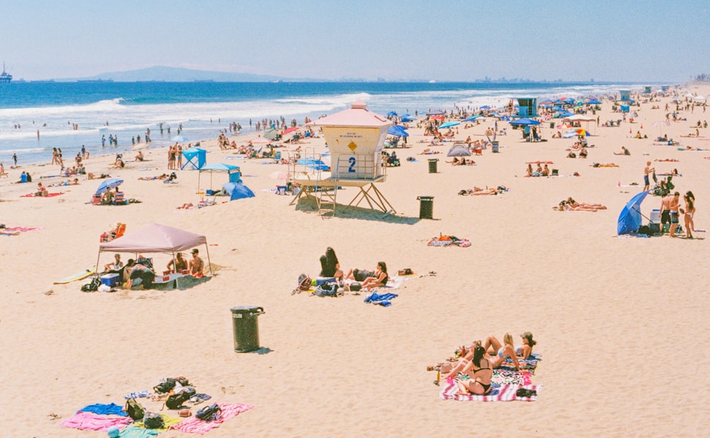 people on beach during daytime