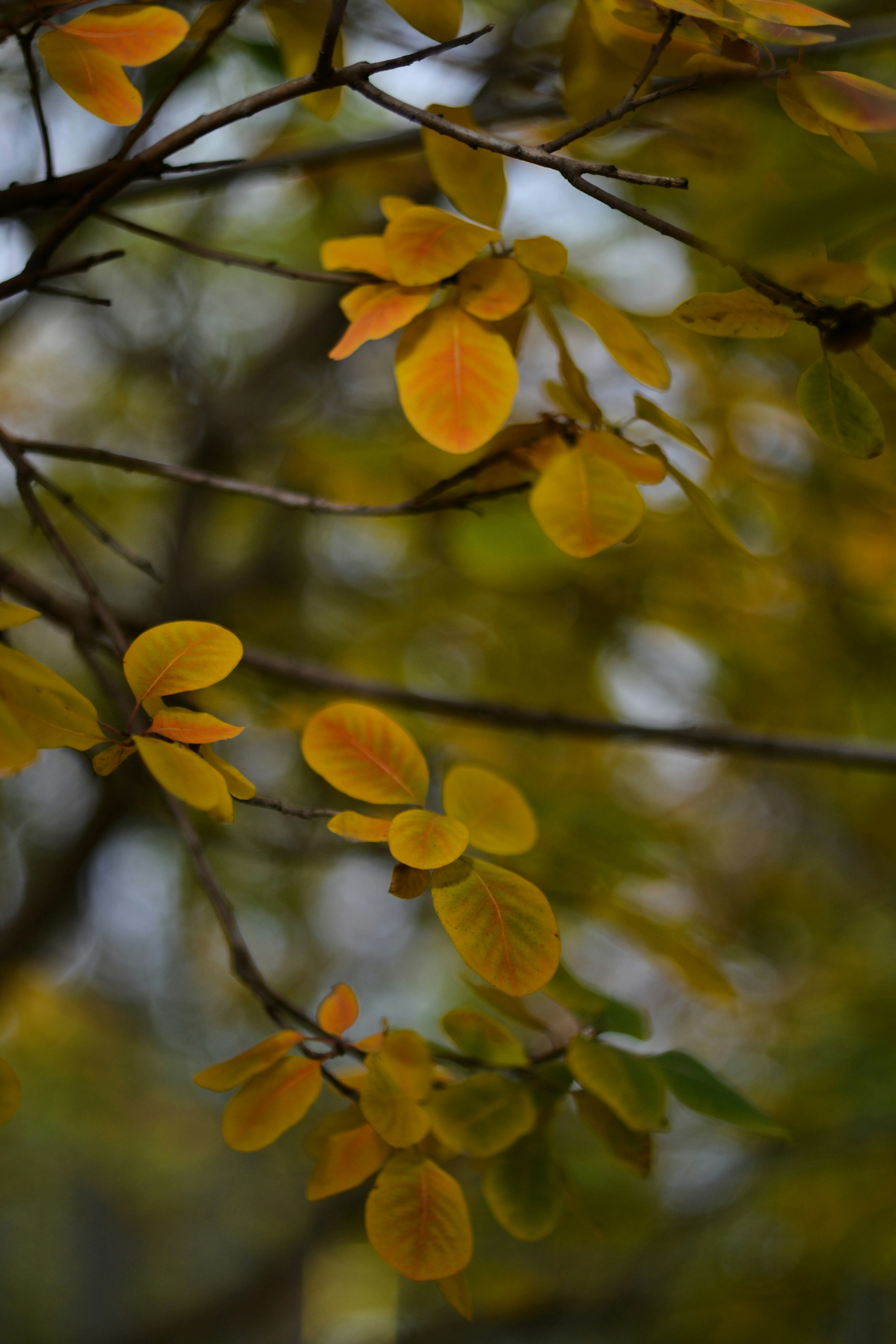 Photo by nastyaaizmailova