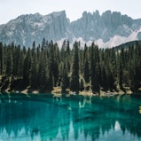 green pine trees near blue lake