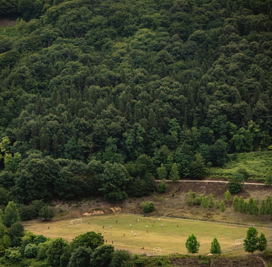 A lush green forest surrounds a small football field where a group of players can be seen engaged in a game. The field is nestled in a clearing, creating a serene contrast between the dense foliage and the open grassy area. The vivid greenery of the trees dominates the landscape, adding a sense of tranquility.