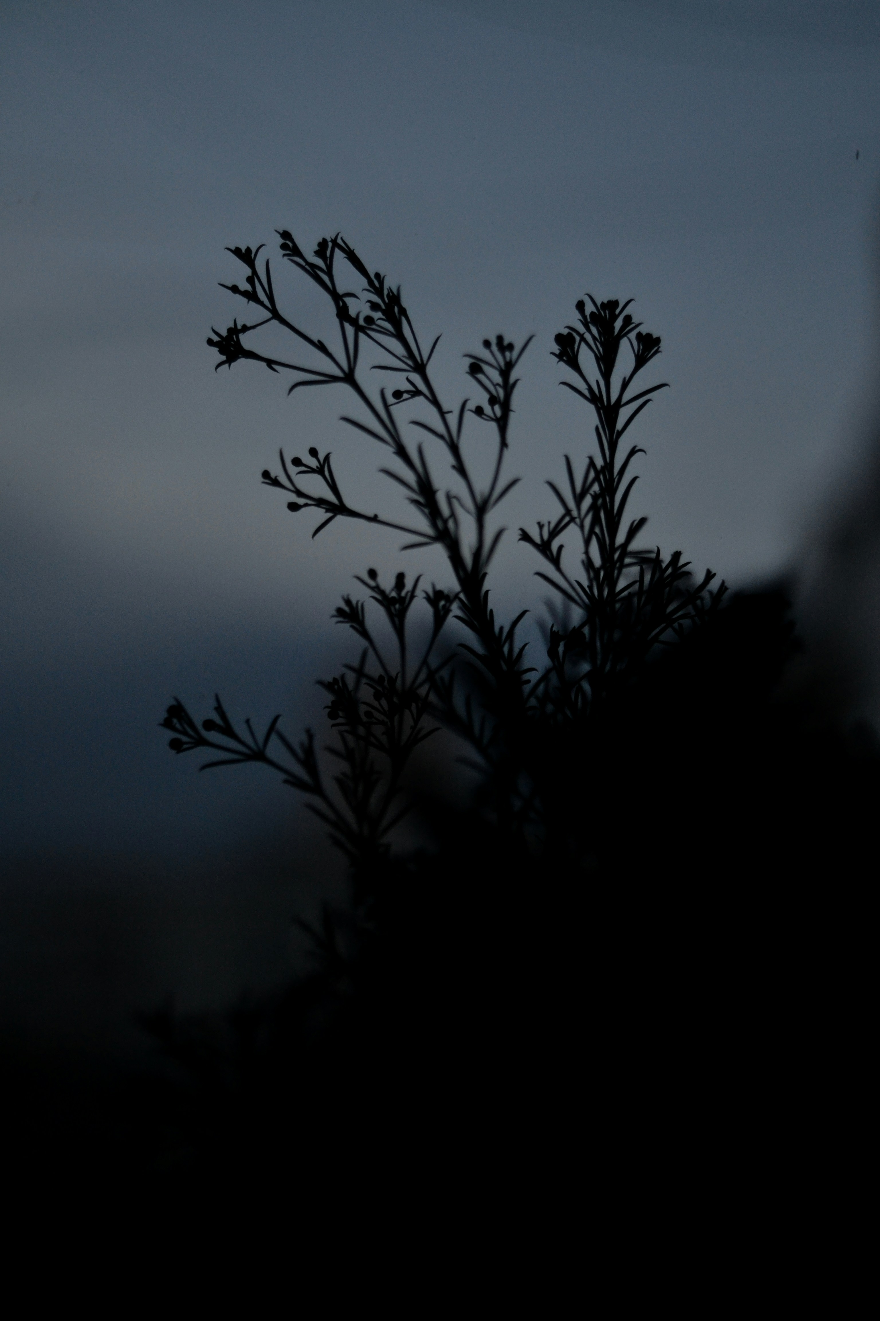 Photo by nastyaaizmailova