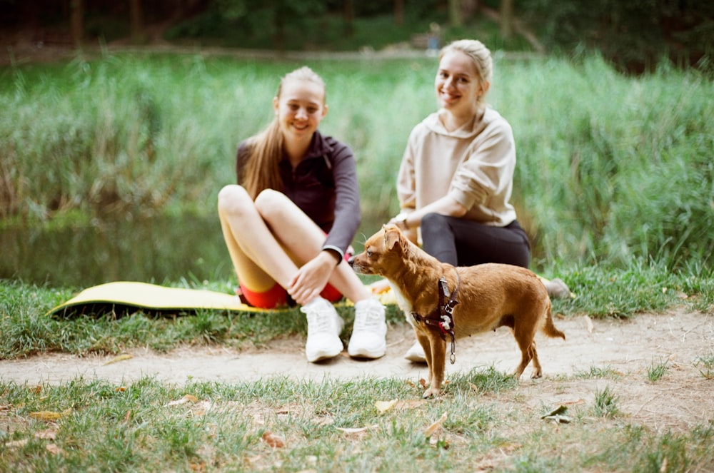 woman in brown coat sitting on white wooden bench with brown short coat small dog