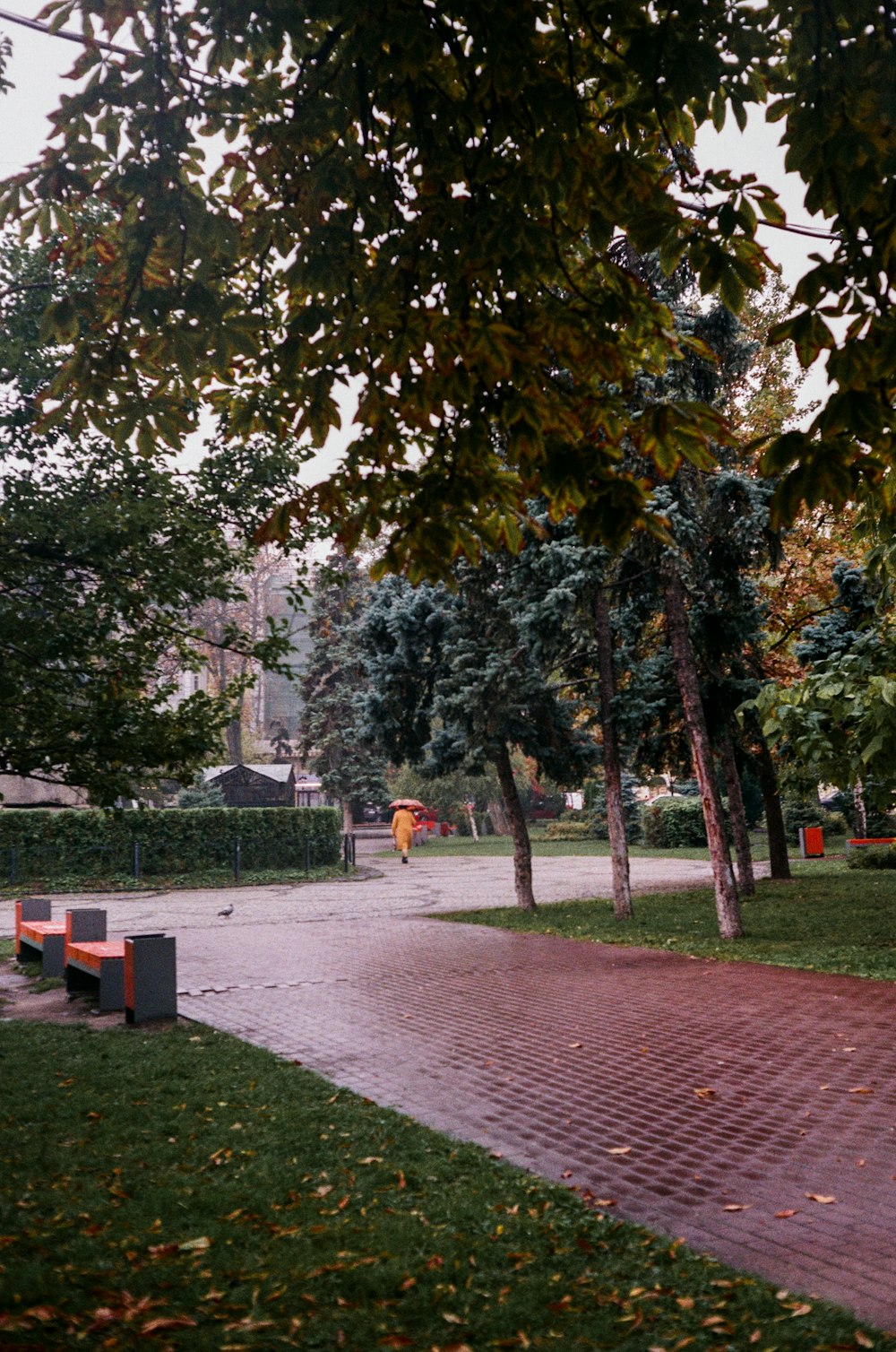 woman in orange dress walking on brown brick pathway