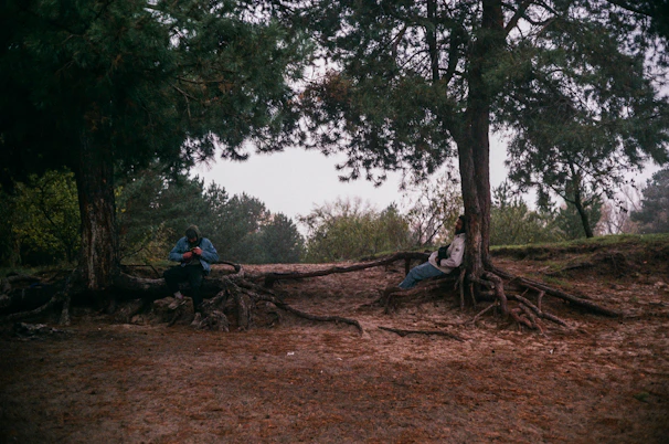 A candid shot of two founders sharing a thoughtful conversation under a large acacia tree.