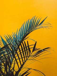 green plant beside yellow wall
