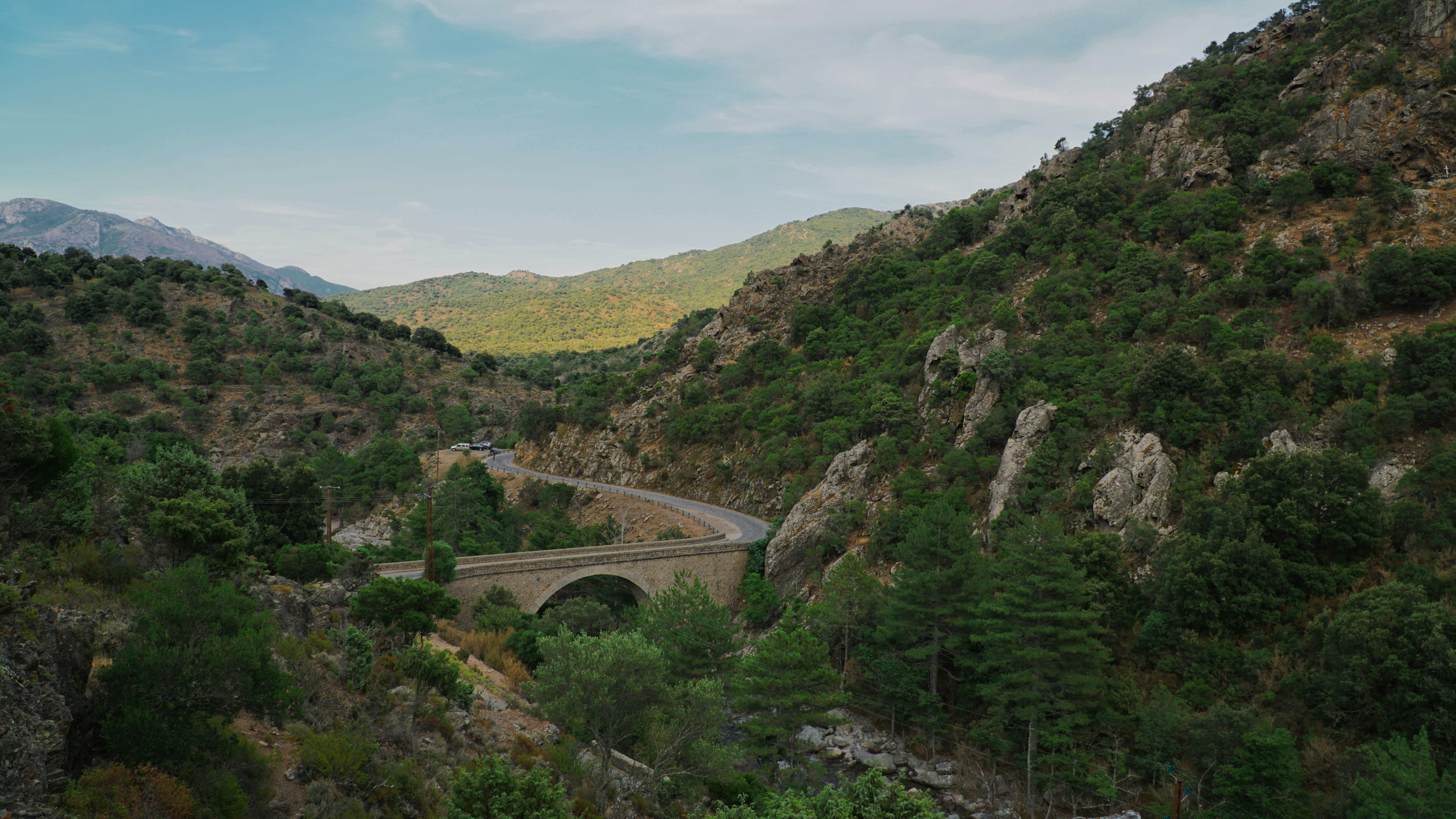 Photo by julius_stills