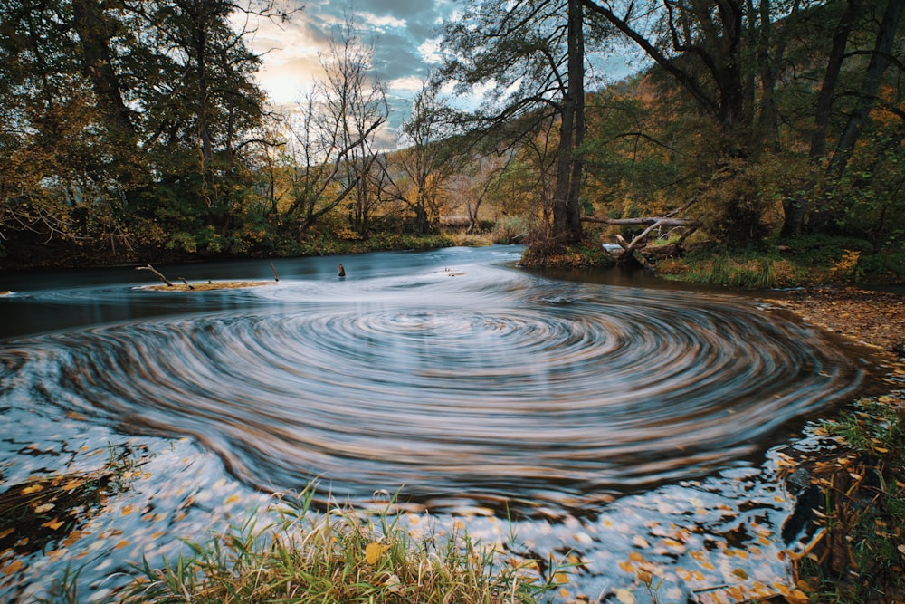 body of water between trees during daytime