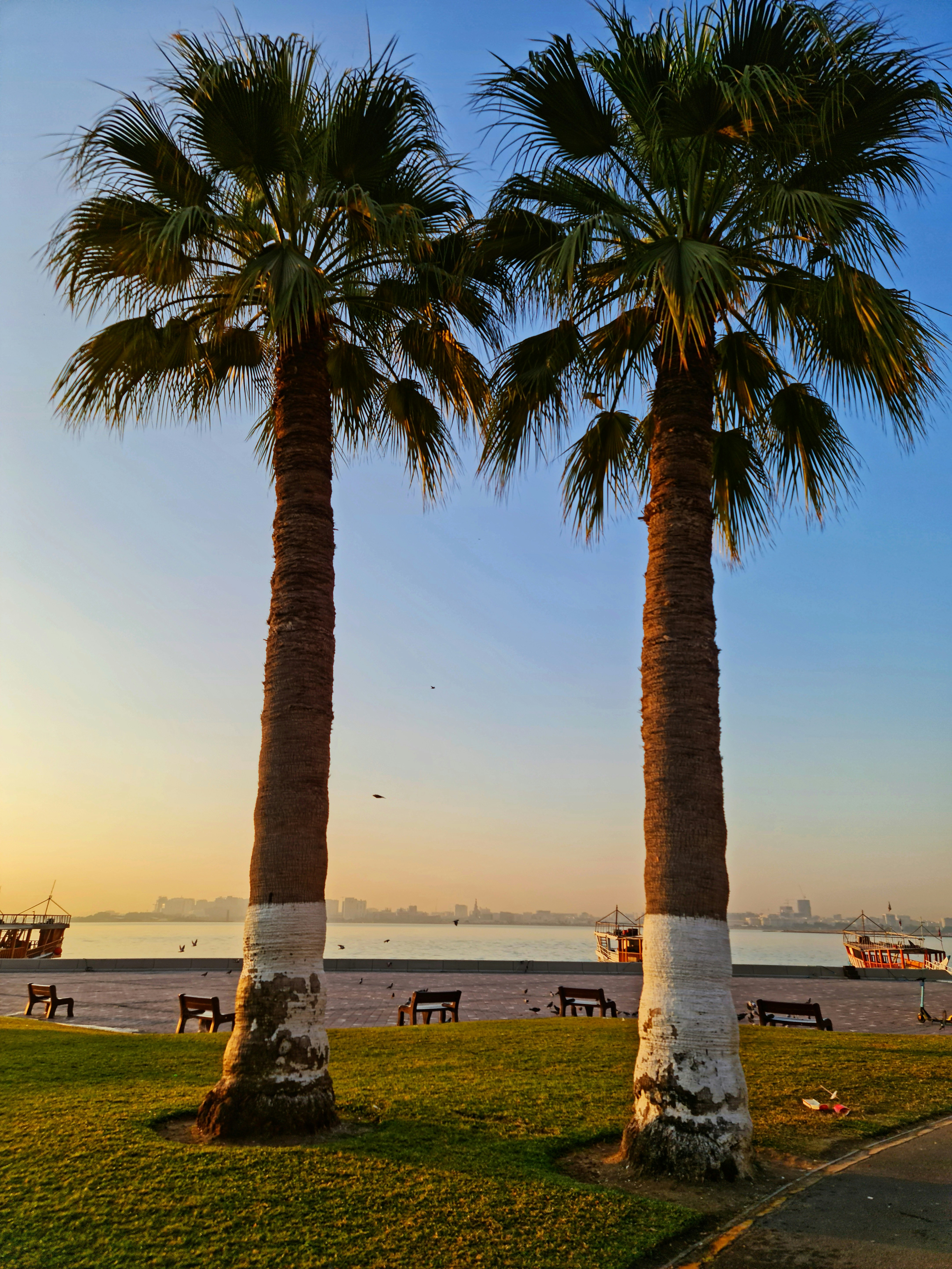 Doha Corniche photo 3
