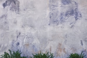 The image displays a textured wall with a mix of blue and white hues, showing an abstract pattern with various shades and brush strokes. At the bottom, there are lush green ferns growing, providing a natural contrast to the man-made surface of the wall.