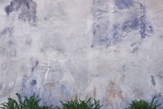 The image displays a textured wall with a mix of blue and white hues, showing an abstract pattern with various shades and brush strokes. At the bottom, there are lush green ferns growing, providing a natural contrast to the man-made surface of the wall.