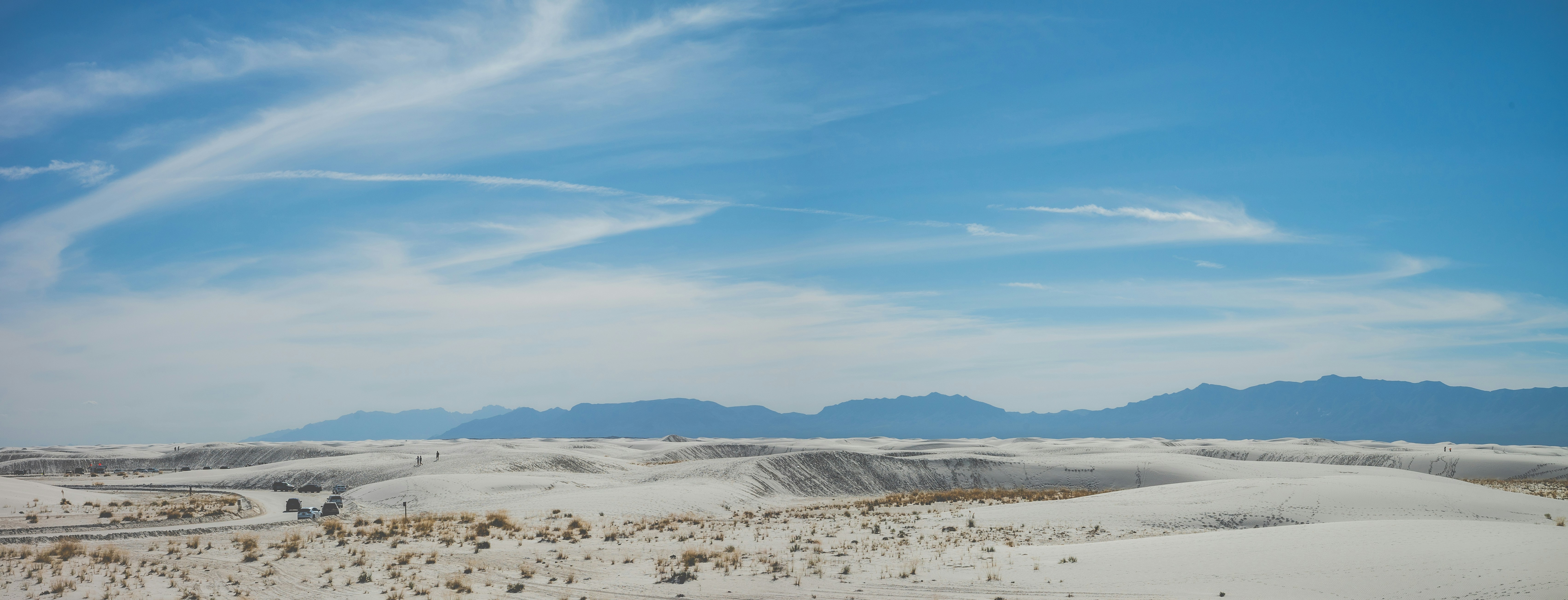 Photo by madoctopusmedia