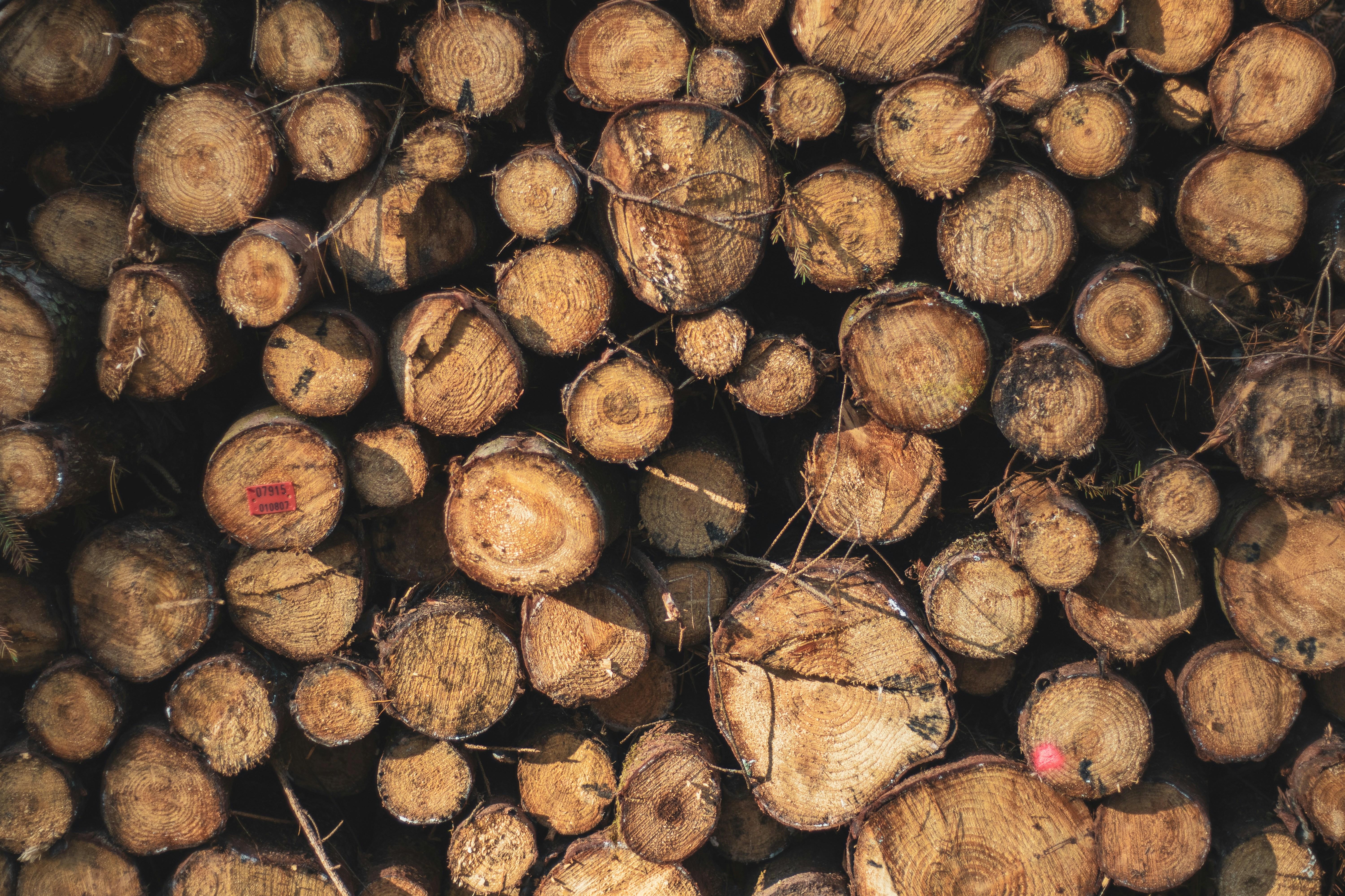 Photo by patrycja_chociej