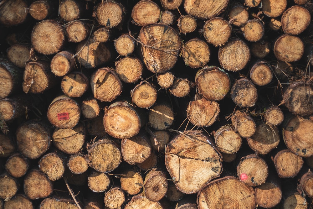 brown and black wood logs