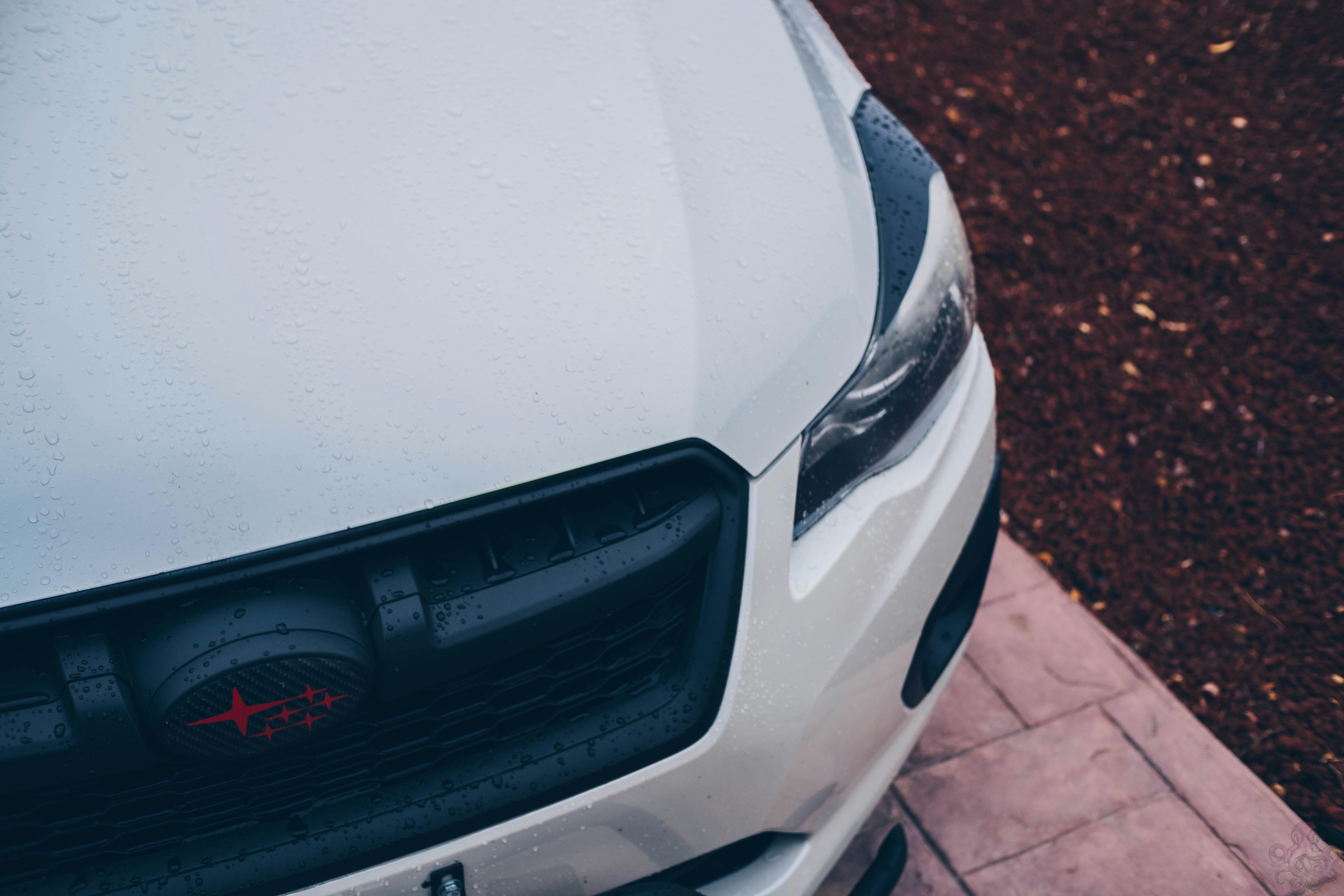 Photo by madoctopusmedia