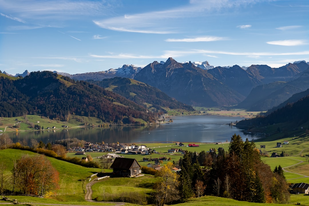 green grass field near lake and mountains under blue sky during daytime