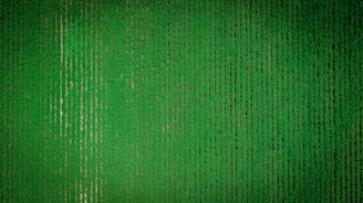 green textile in close up photography