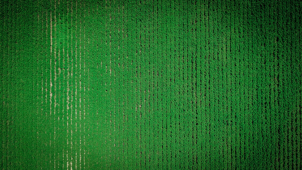 têxtil verde na fotografia de perto