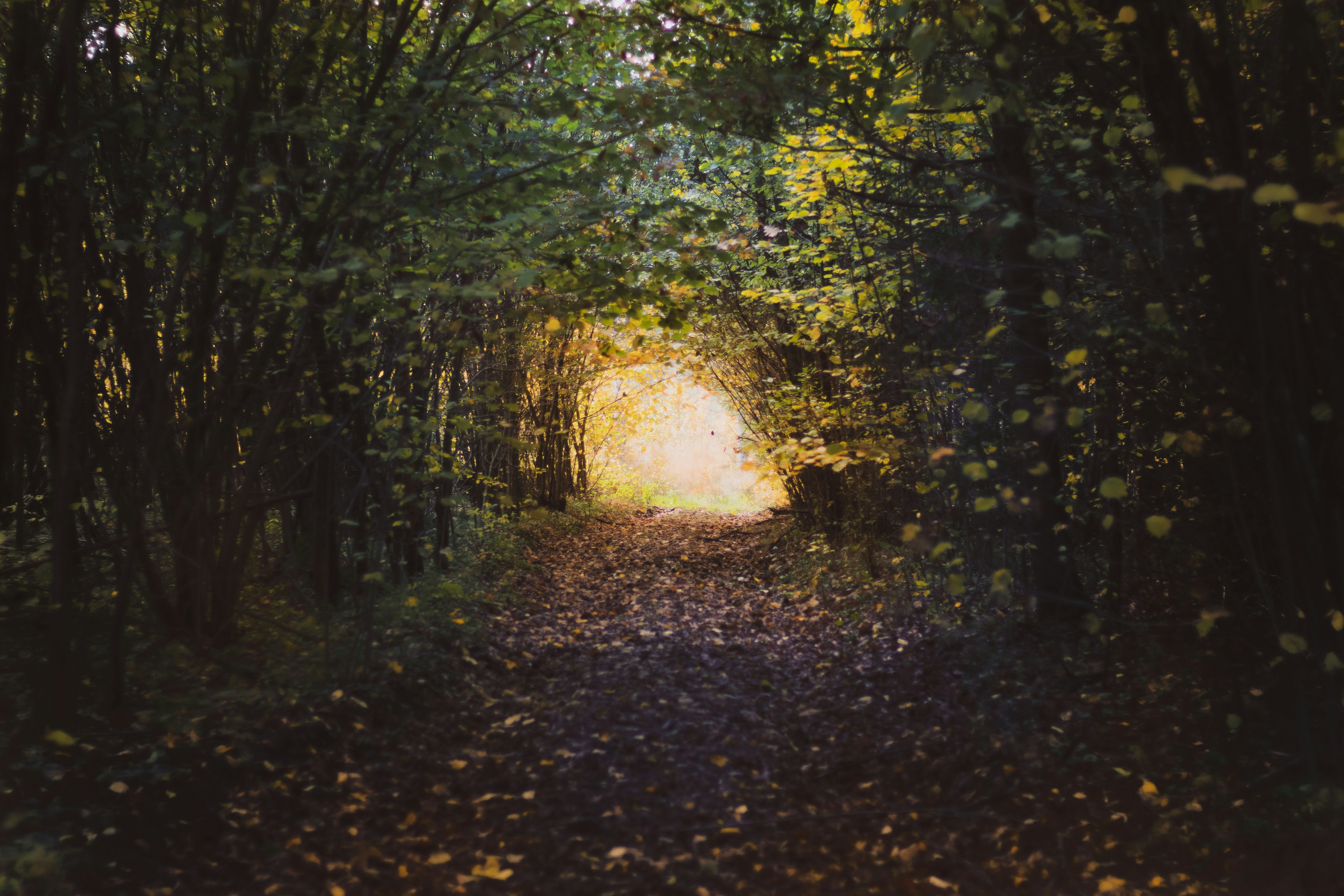 Photo by patrycja_chociej